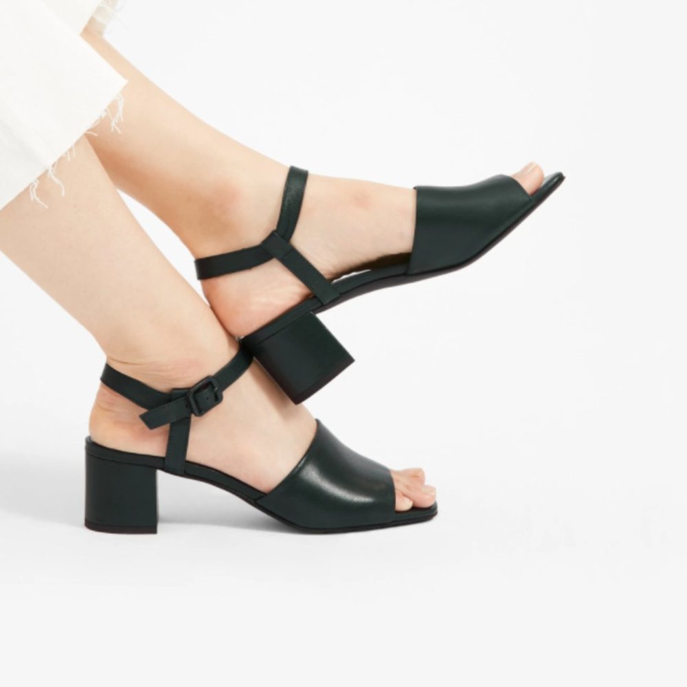 Everlane The Block Heel Sandal